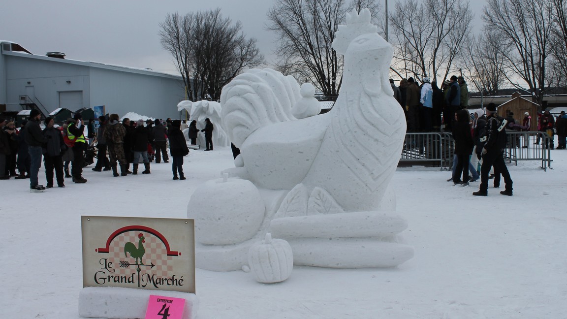 La poule de neige du Grand Marché