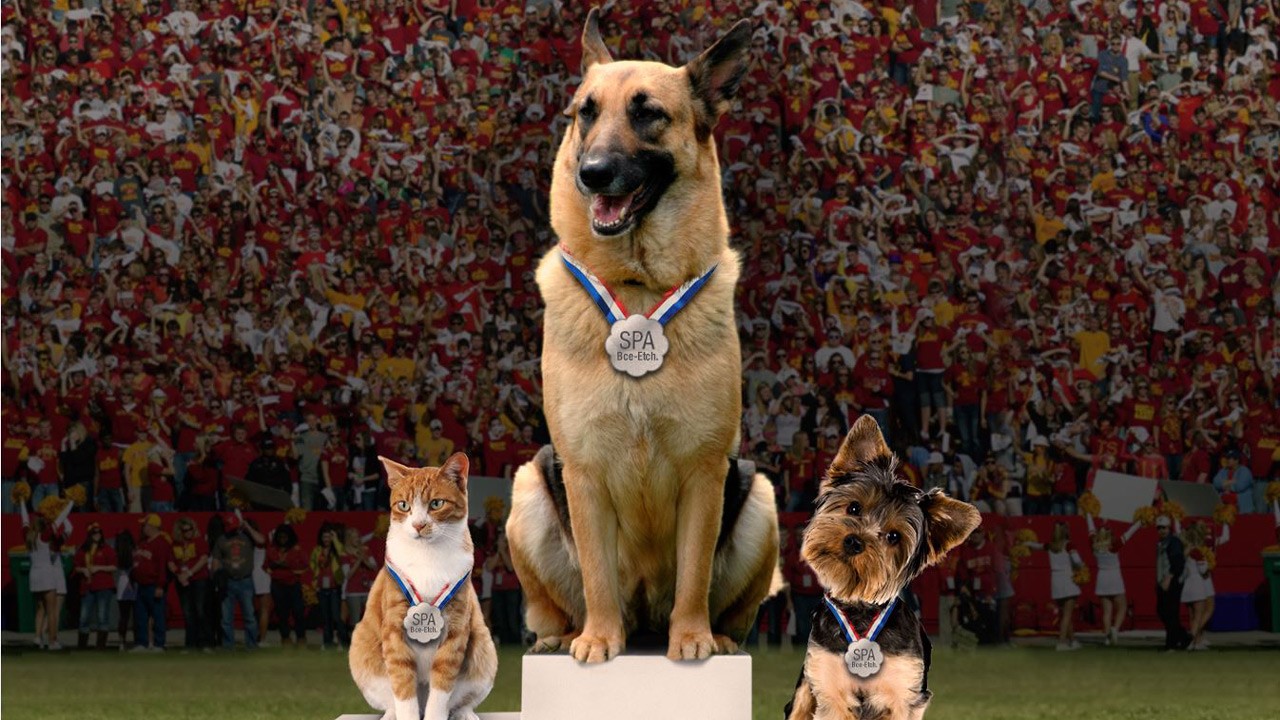 La Société protectrice des animaux tiendra une journée porte ouverte le dimanche 16 mars prochain, à l’hôtel de ville de Saint-Georges, afin de permettre aux propriétaires de chiens et de chats de renouveler la licence de leur animal.
