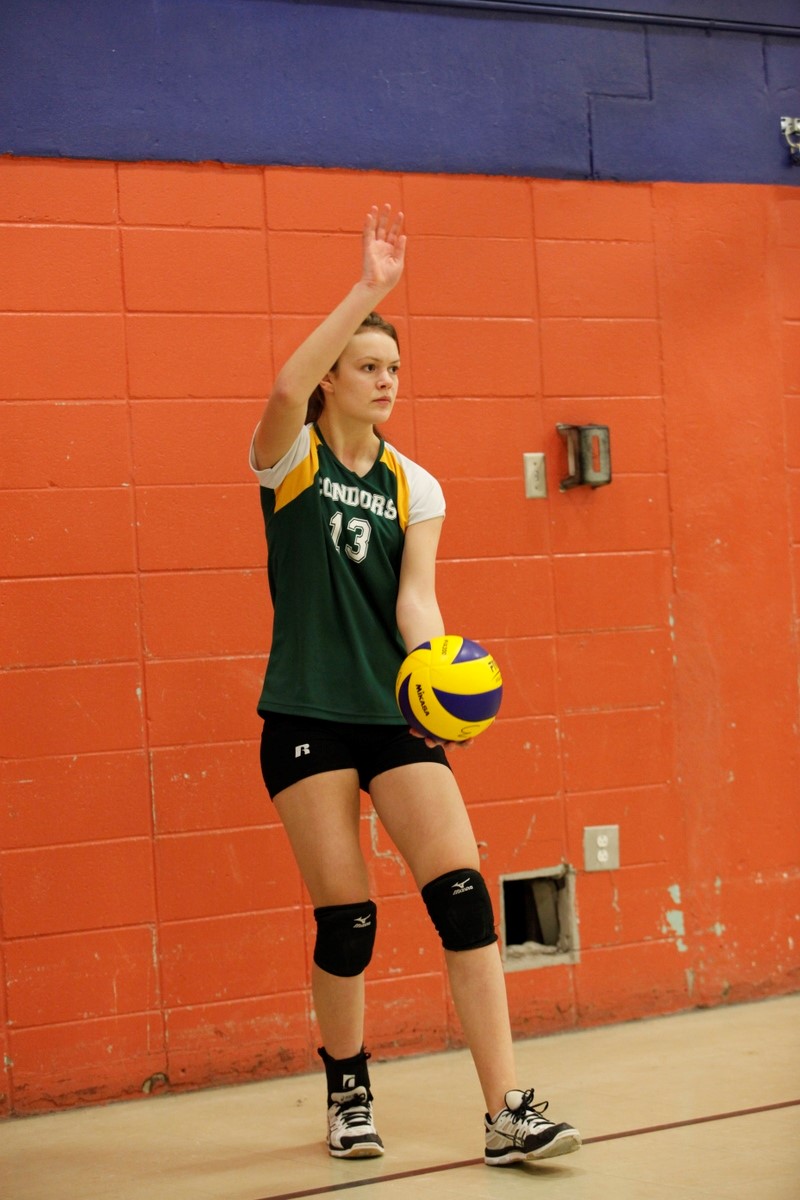 Volleyball : Les benjamines civiles des Condors remportent une médaille d’argent