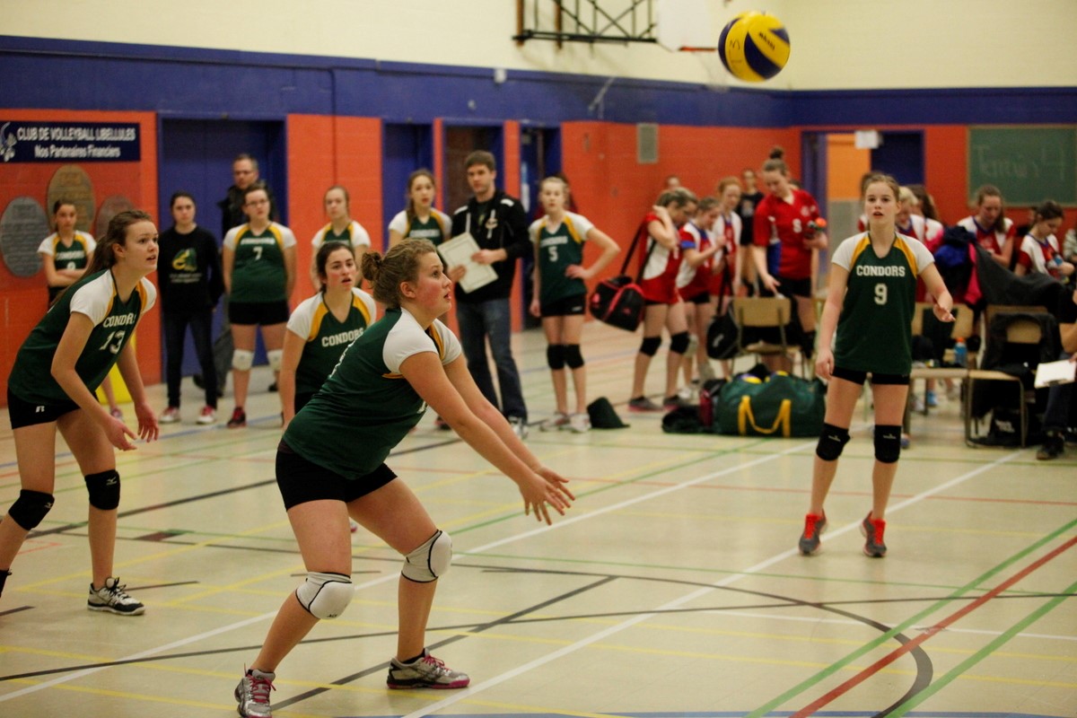 Volleyball : Les benjamines civiles des Condors remportent une médaille d’argent