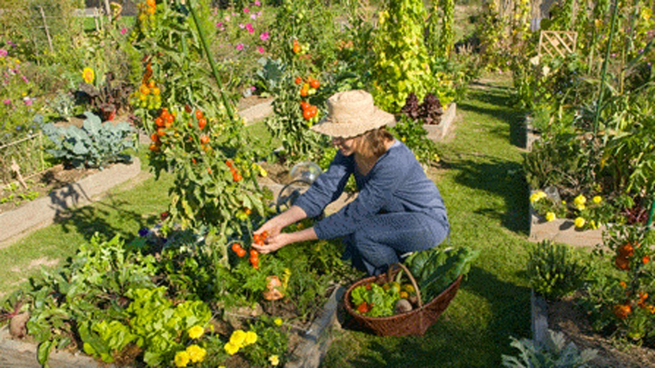 Le Grand Marché Beauce-Sartigan, avec la collaboration de Santé L’Action!, présentera un atelier sur le potager et le compagnonnage au jardin. Le tout se déroulera le samedi 26 avril, de 15h00 à 17h00 au Grand Marché Beauce-Sartigan, situé au 12 120, 1re avenue à Saint-Georges.