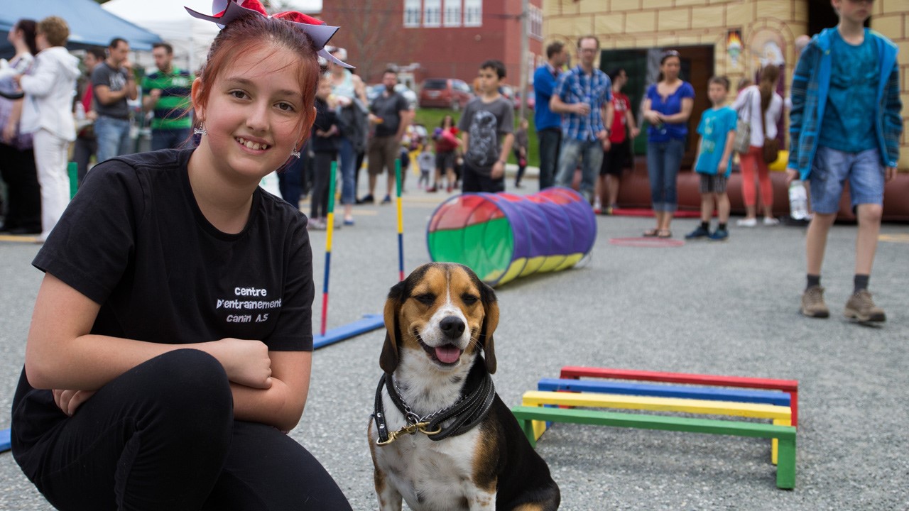 Un spectacle d’habiletés canines avait lieu dans le cadre de l'événement.