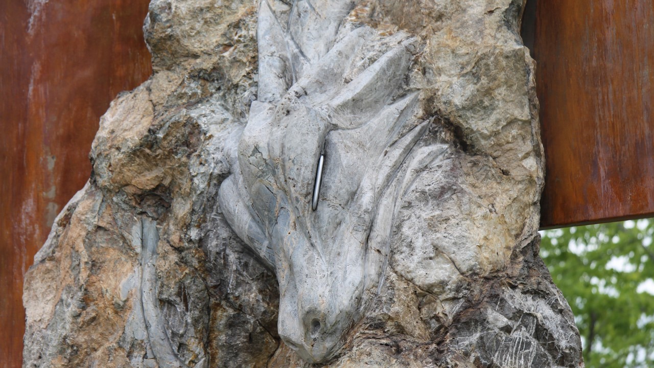 Sur la photo, on distingue la tête du dragon fossilisé