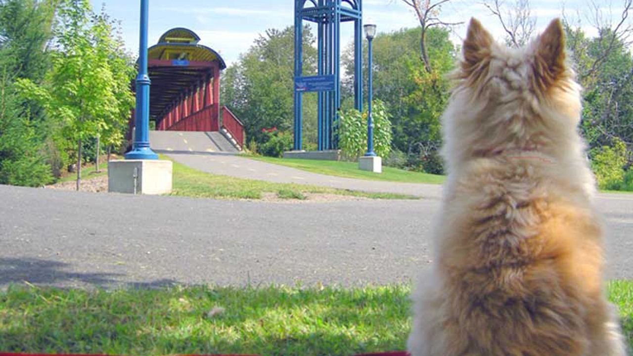La marche aura lieu le 15 juin prochain et elle se tiendra au Parc-des-Sept-Chutes