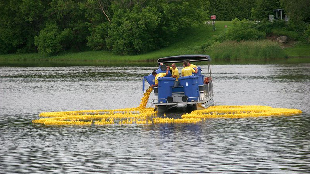 Une cinquième édition pour la Grande course des petits Canards