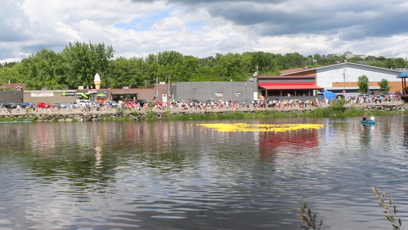 Les canards prennent d'assaut la rivière Chaudière