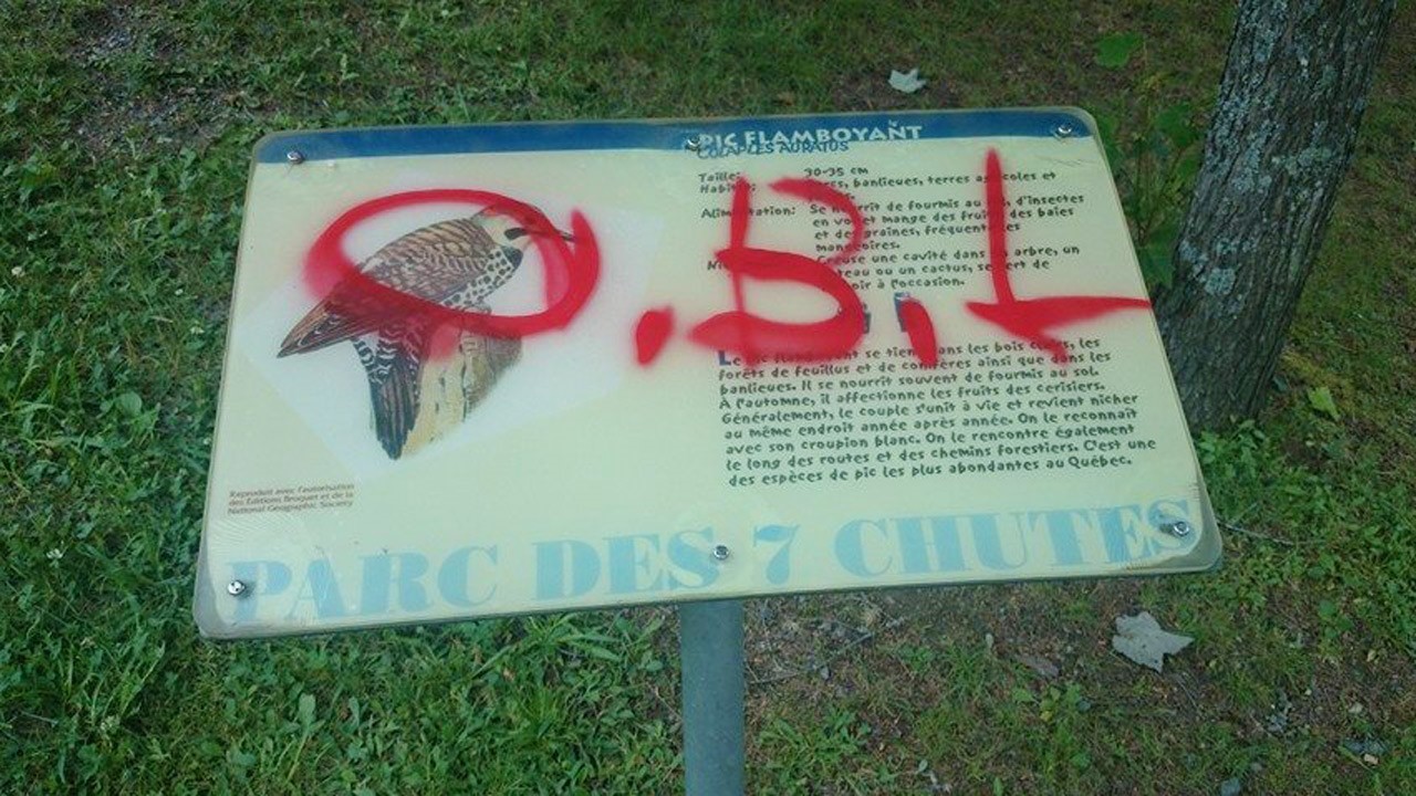 Des vandales s’en donnent à cœur joie à Saint-Georges
