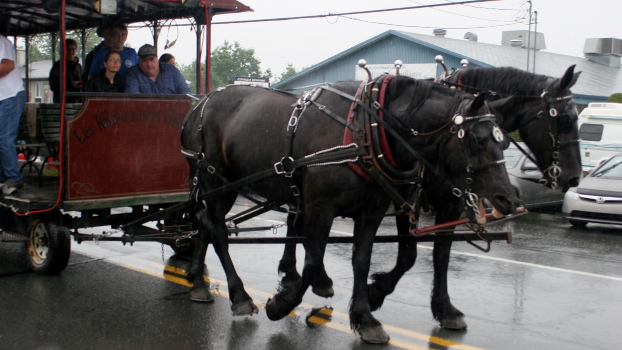 Une parade sous la pluie à Nashville en Beauce