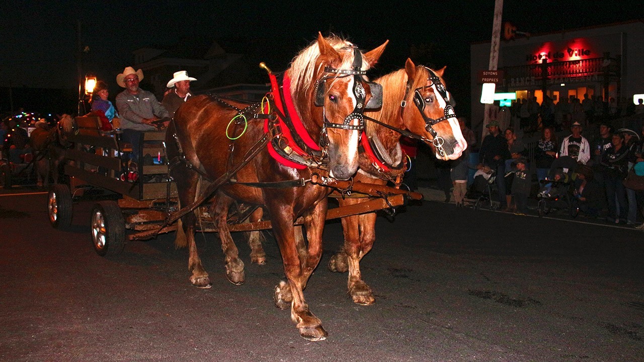 Après une première parade de jour qui s’est déroulé sous la pluie, voilà que Nashville remet ça avec, cette fois-ci, un défilé de chevaux et de voitures illuminés.