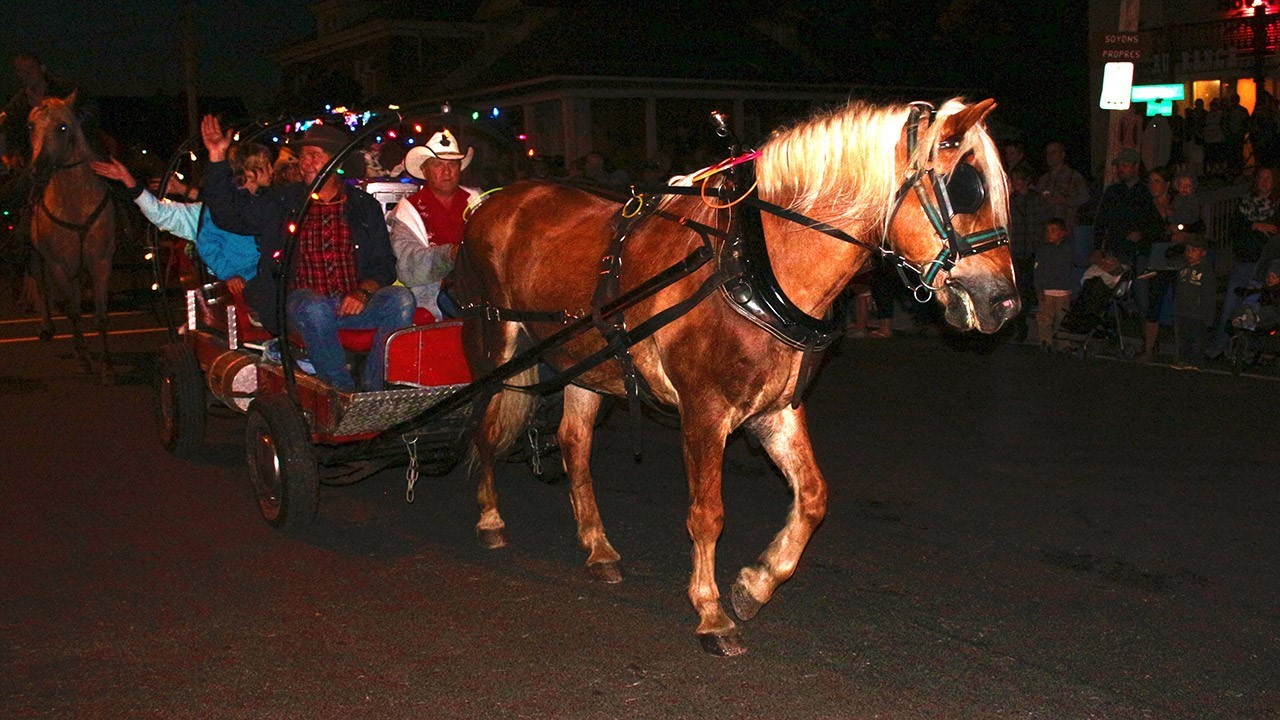 Après une première parade de jour qui s’est déroulé sous la pluie, voilà que Nashville remet ça avec, cette fois-ci, un défilé de chevaux et de voitures illuminés.