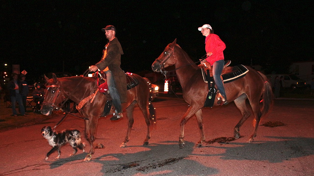 Après une première parade de jour qui s’est déroulé sous la pluie, voilà que Nashville remet ça avec, cette fois-ci, un défilé de chevaux et de voitures illuminés.
