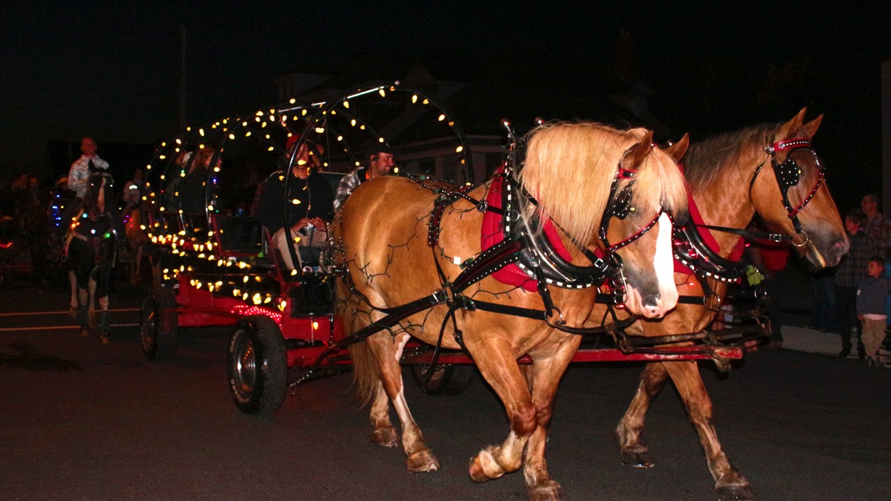 Après une première parade de jour qui s’est déroulé sous la pluie, voilà que Nashville remet ça avec, cette fois-ci, un défilé de chevaux et de voitures illuminés.