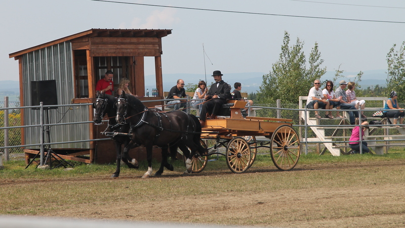 L'exposition agricole de Beauce fait fureur à Saint-Honoré