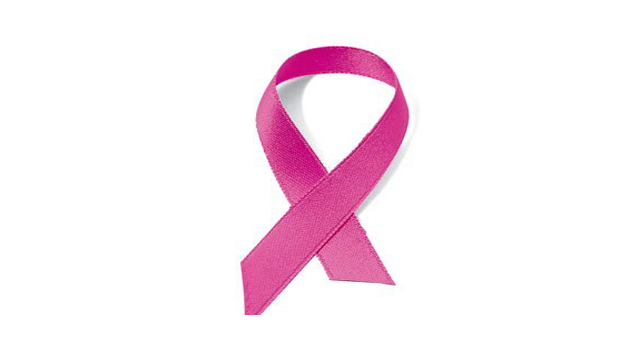 L’équipe responsable des ateliers La Lucarne est fière de lancer son calendrier d’activités automne-hiver 2014-2015 et tient à rappeler aux femmes ayant un cancer du sein que ces ateliers sont spécifiquement conçus pour les aider à avoir une bonne qualité de vie, malgré la maladie.