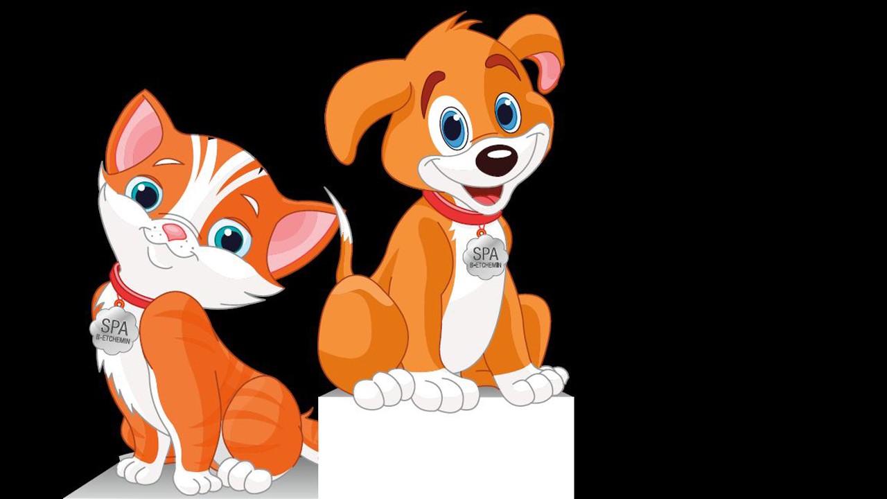 Ville de Saint-Georges offre aux propriétaires de chiens et de chats une nouvelle façon d’acquitter les frais de licence de leur animal favori en 2015.