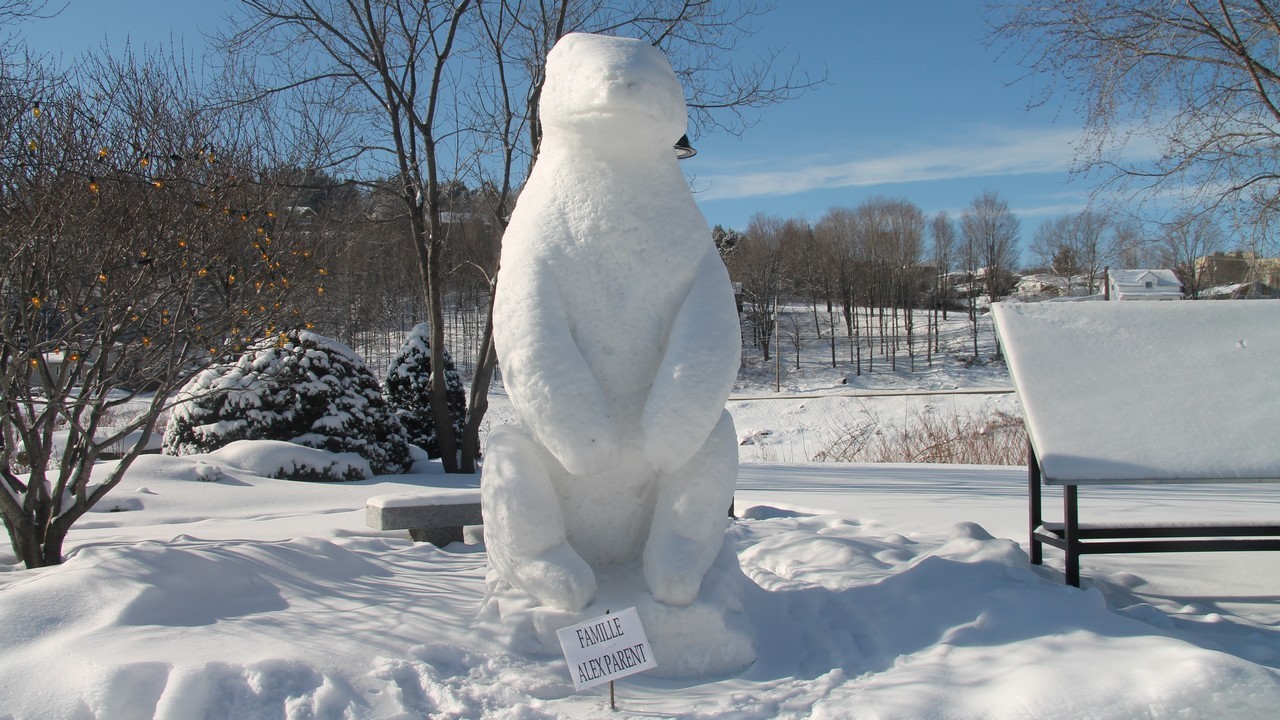 Concours de sculpture sur neige au Parc Mathieu de Beauceville