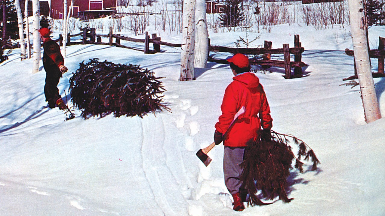 « Le roi des forêts », un conte de Noël théâtral et musical écrit et mis en scène par l’artiste beauceron Harold Gilbert.