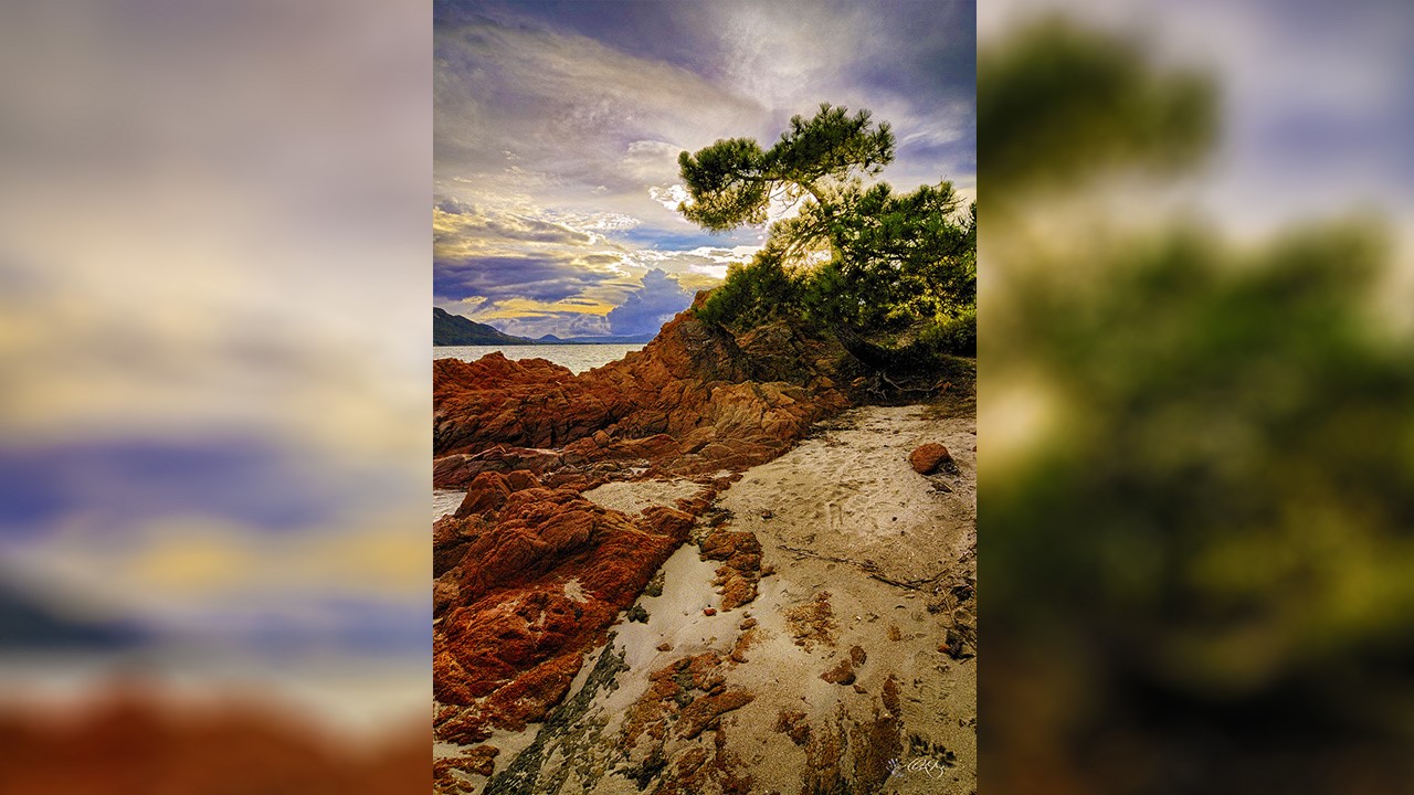 Photographie d'une oeuvre de l'exposition « La Corse, Île de beauté »