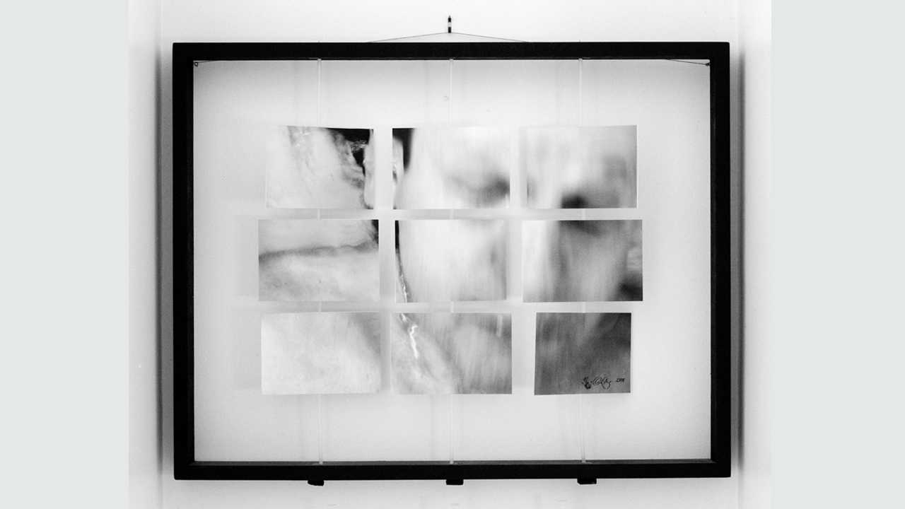 Photographie d'une oeuvre de l'exposition «In Vivo»