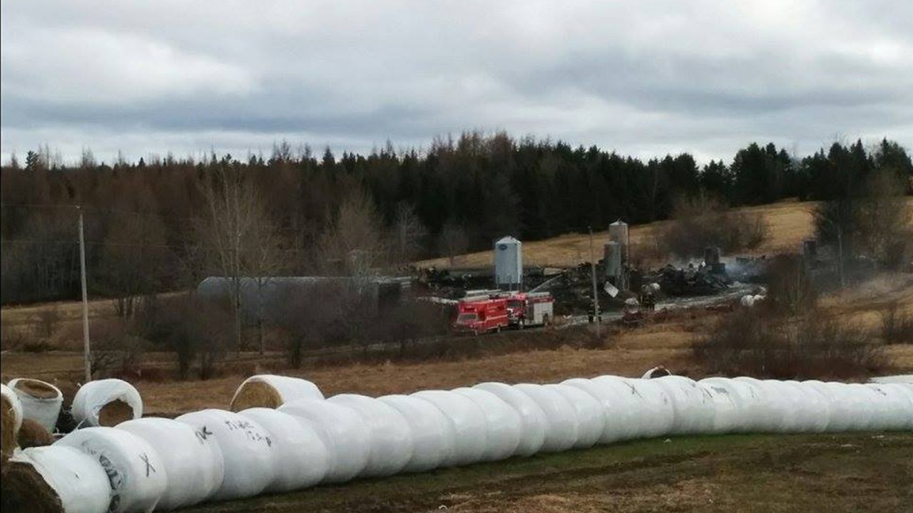 L'incendie a causé la mort de 400 moutons.