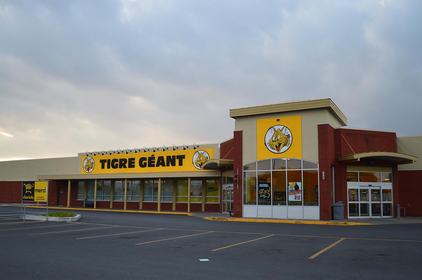 Le Tigre Géant s’installera à Saint-Georges en avril 2016
