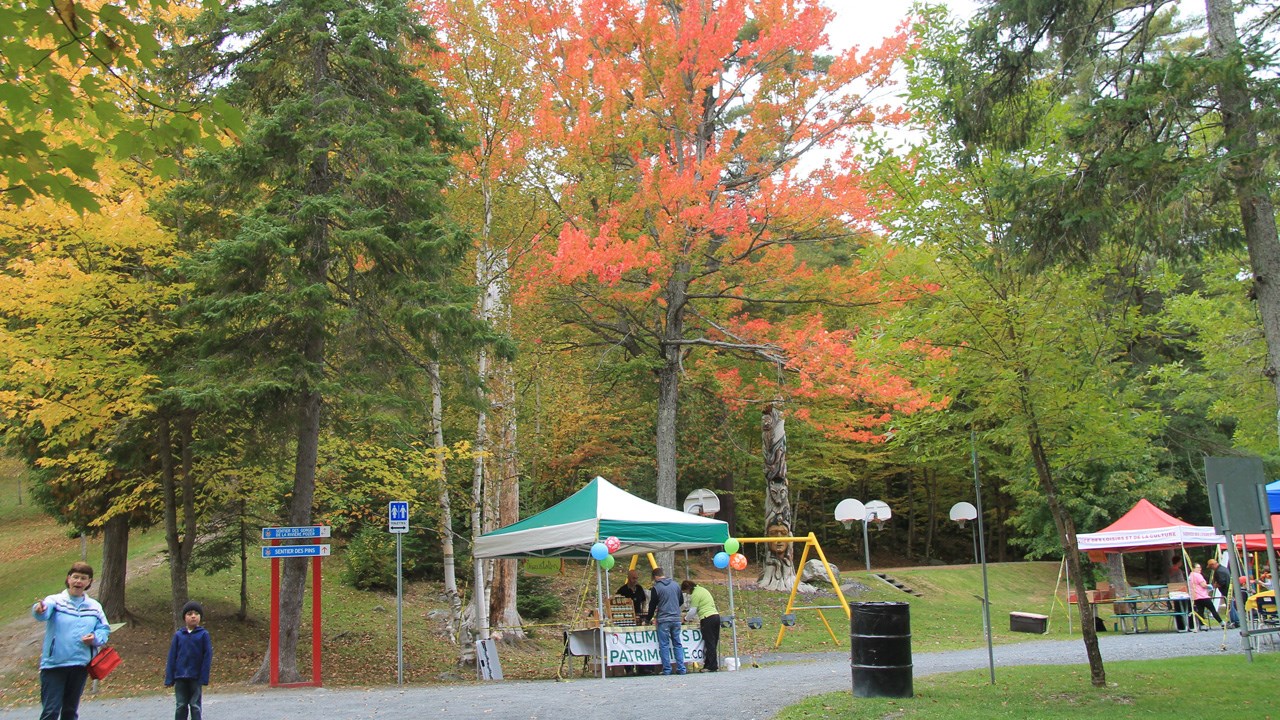Succès coloré pour la Montée des couleurs au parc des Sept-Chutes