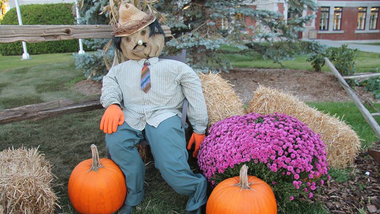 Avec les jolies décorations festives de cette fête largement célébrée au Canada, on ne peut pas oublier qu'avant Noël, le 25 décembre, il y a également Halloween, le 31 octobre.
