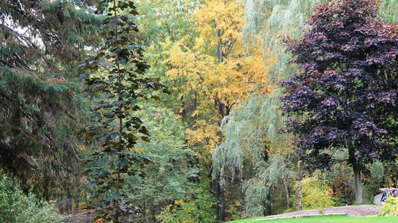 Durant la plus colorée des saisons de l'année, on se déguise aussi pour la célébrer