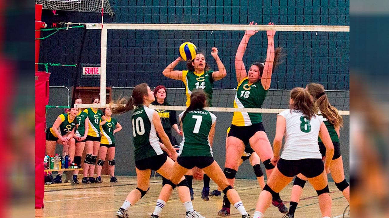 Volleyball : les Condors partagent le 2e rang après la première moitié de la saison