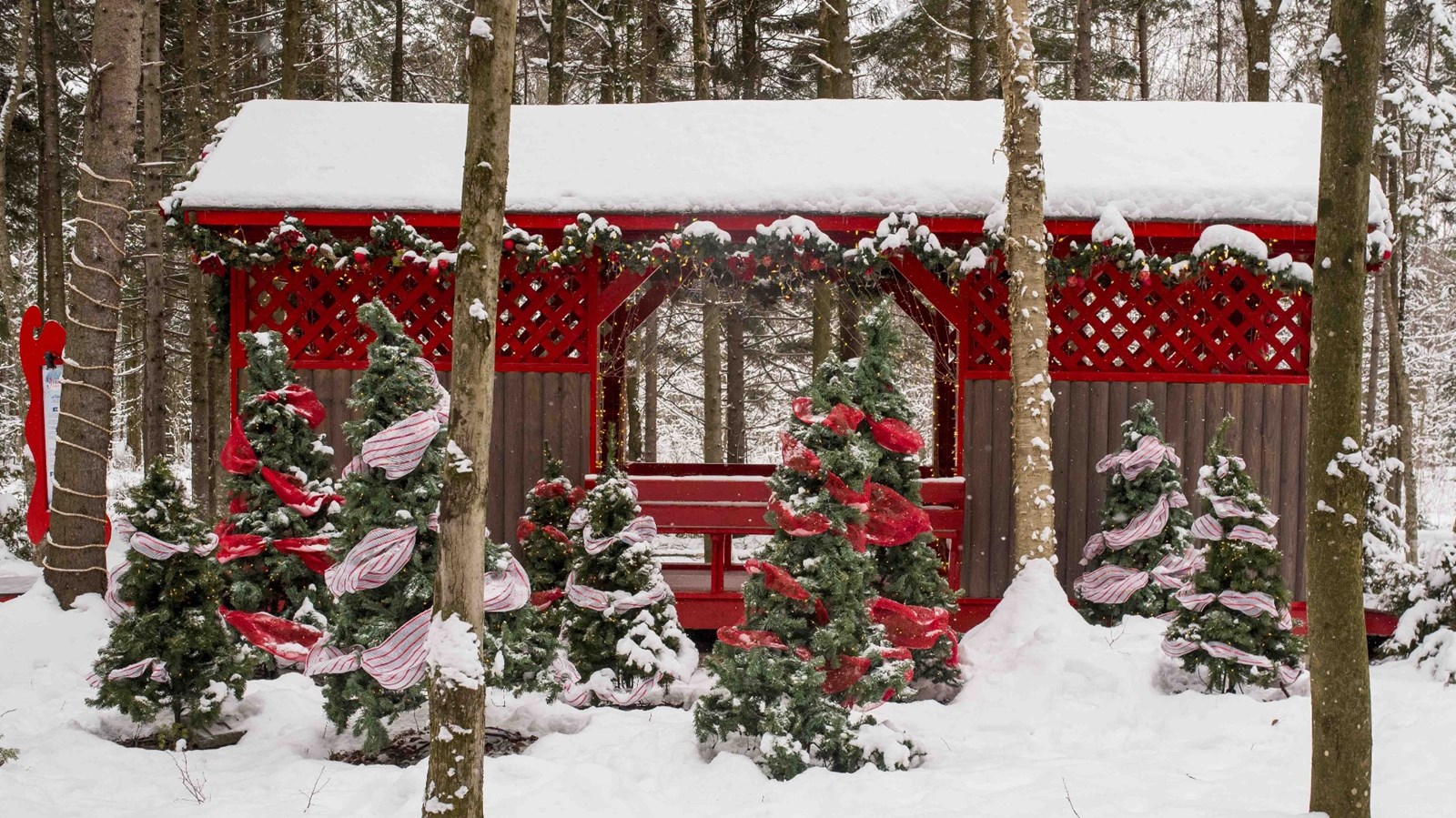 Le secteur « Frima, la magie de Noël » du nouveau Woodooliparc installé à Scott ouvrira ses portes le vendredi 16 décembre prochain. 