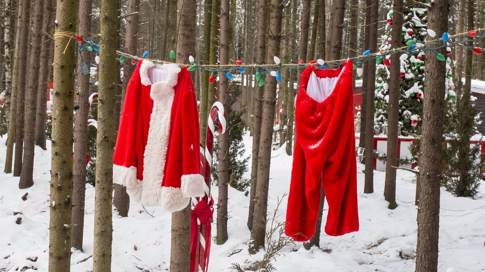 Le secteur « Frima, la magie de Noël » du nouveau Woodooliparc installé à Scott ouvrira ses portes le vendredi 16 décembre prochain. 
