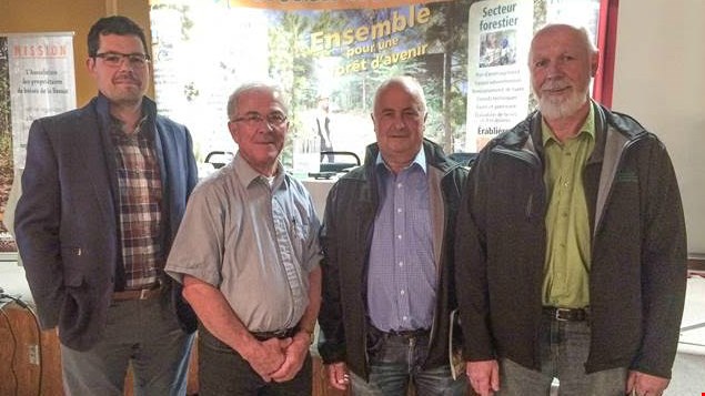 Le prix du sapin-épinette de quatre pieds chute