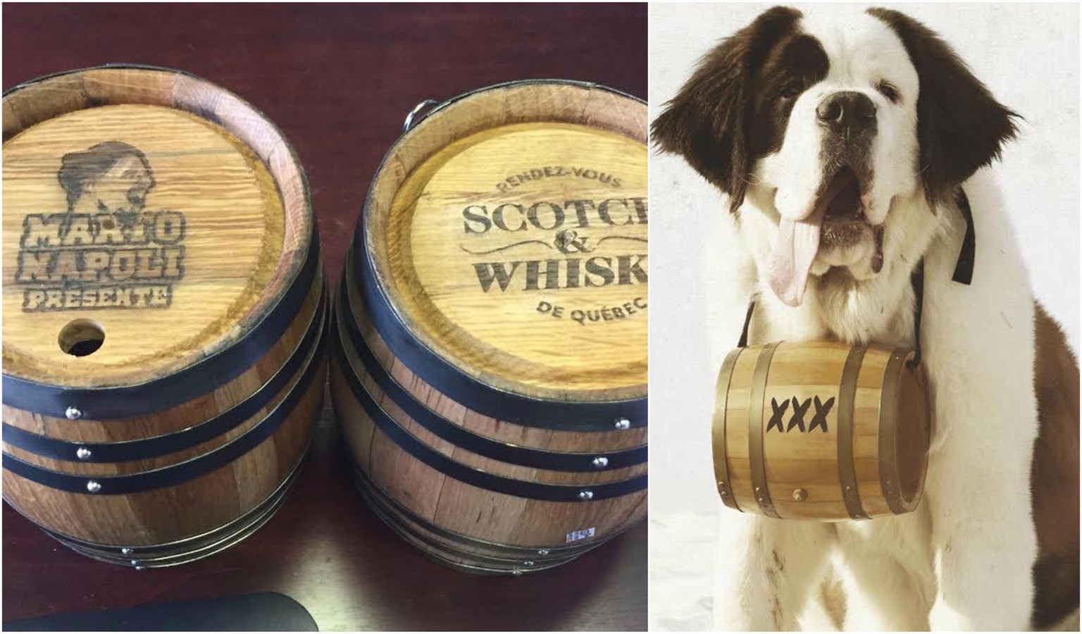 Marto Napoli offrira maintenant du whiskey brassé par un Saint-Bernard (Chloé)