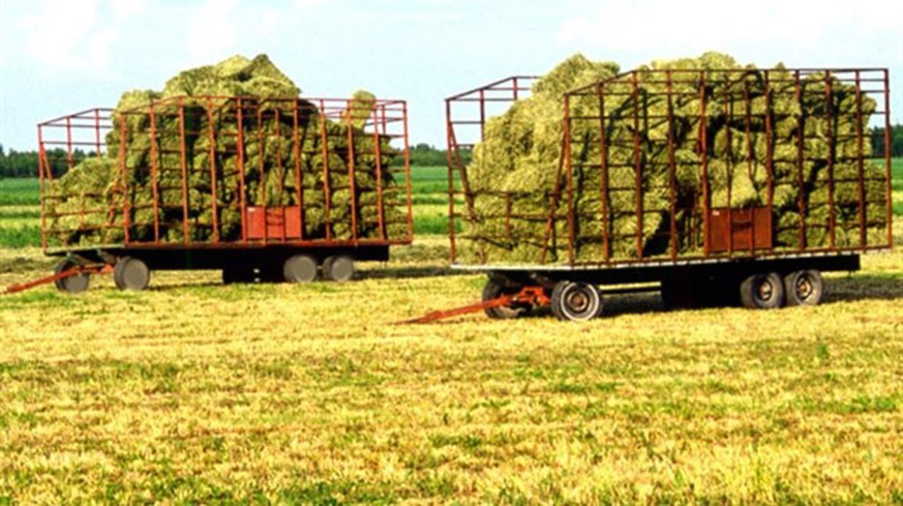 Financière agricole : un bon début de saison en assurance récolte en Chaudière-Appalaches