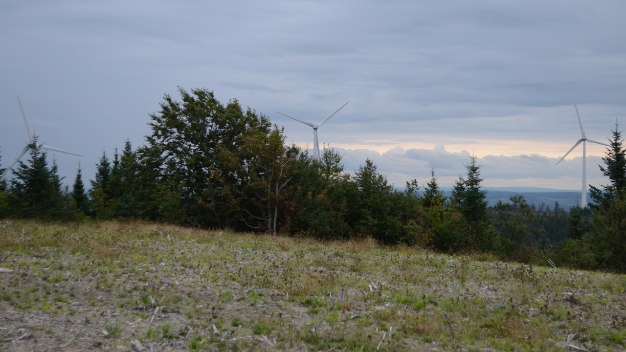 Boralex et Frampton inaugurent leur parc éolien communautaire