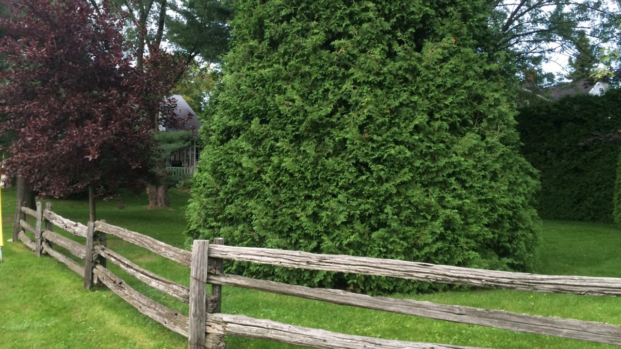 Top cinq des plus beaux attraits de Saint-Georges