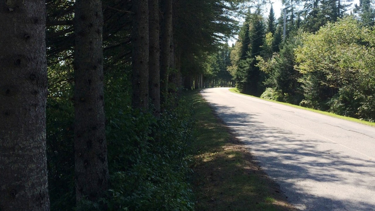 Situé à une dizaine de kilomètres du centre-ville de Saint-Georges, on accède au Club de Golf par une allée bordée de grands pins et autres grands arbres. 