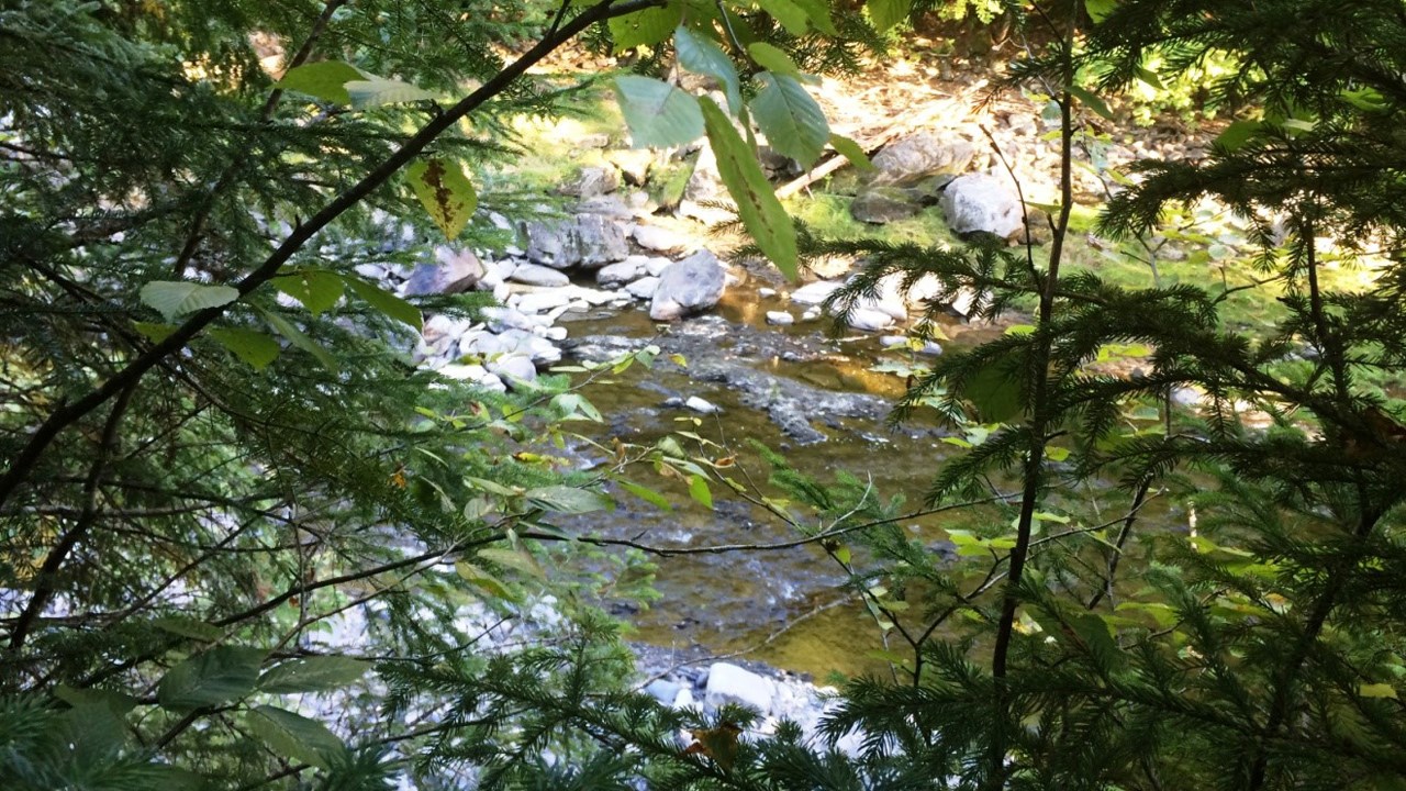 La Rivière Pozer est la reine du lieu.  