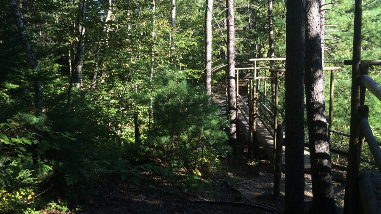 La forêt, les sentiers, les passerelles, belvédères et escaliers de bois, tout y rappelle la majesté de la nature revue par l’homme.