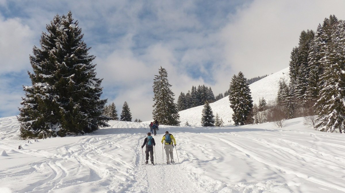La municipalité de Saint-Sylvestre a dévoilé sa toute nouvelle programmation des loisirs pour cet hiver, de nombreuses activités parmi lesquelles se trouve la pratique de la randonnée en raquettes sur quatre sentiers différents près du Chalet des montagnards.