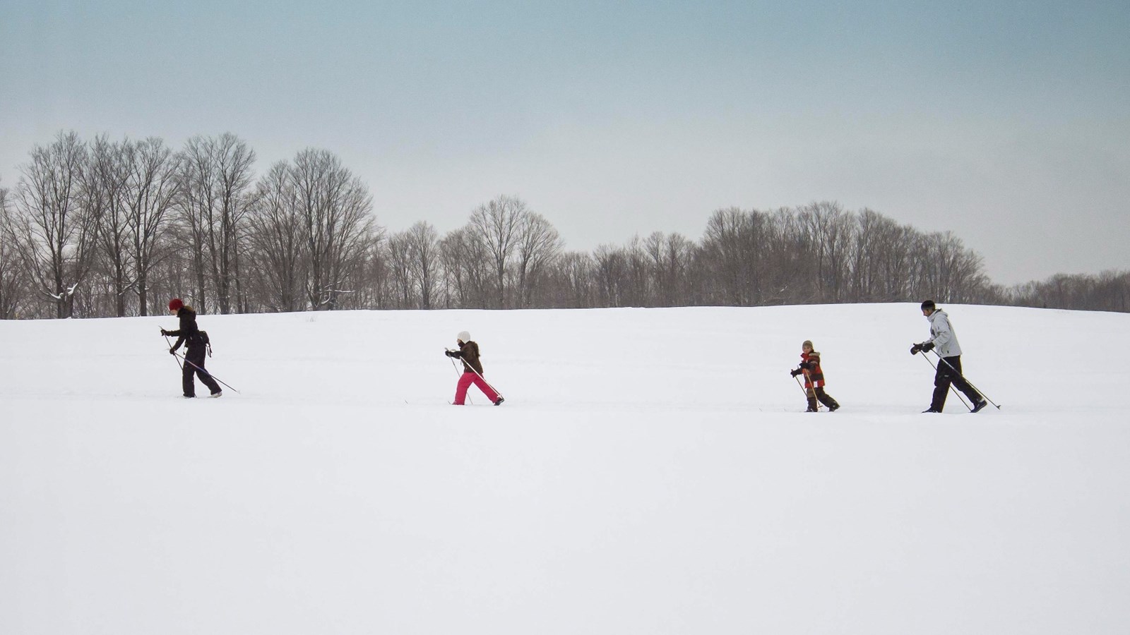 Situé à Saint-Georges sur la Route 204, en direction de Saint-Prosper, le Club Rendez-vous a annoncé ce matin que son domaine skiable était ouvert à 100%. L'organisme entretient des sentiers de raquettes et de ski de fond pour les amateurs de sports d'hiver. 
