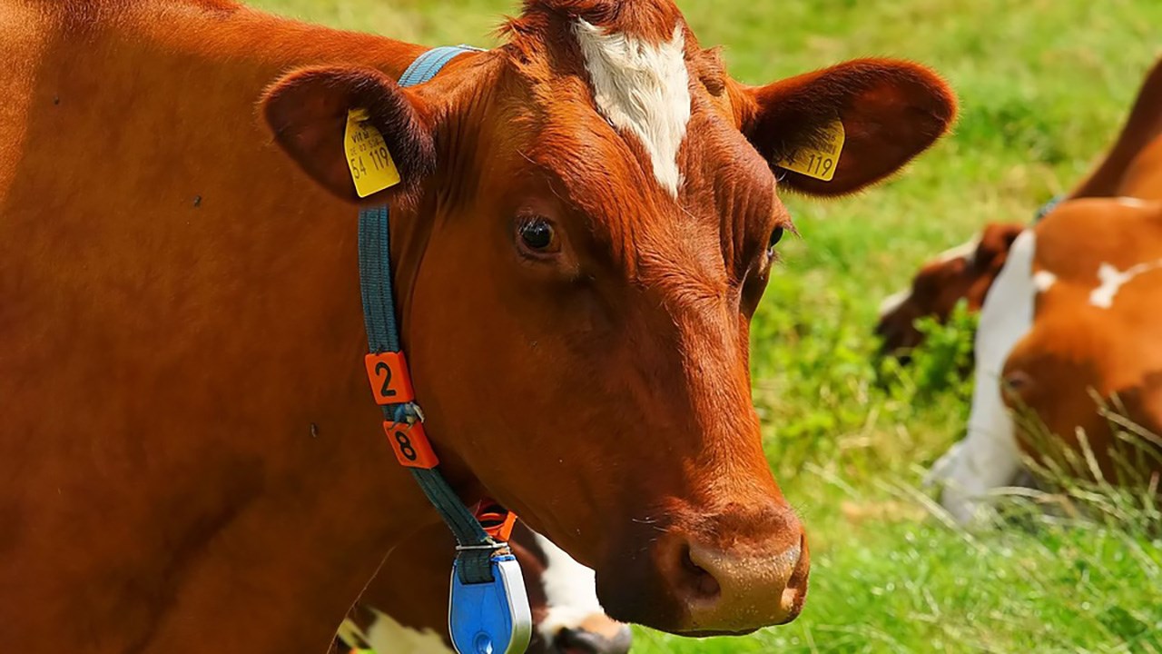 La Ferme A.G.R. SENC reçoit une distinction significative