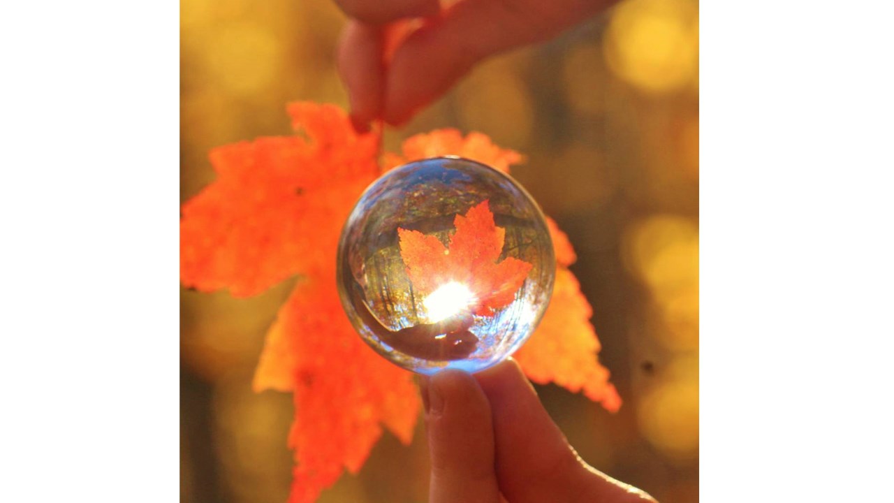 Replongez-vous dans les couleurs de l'automne grâce aux images de nos lecteurs