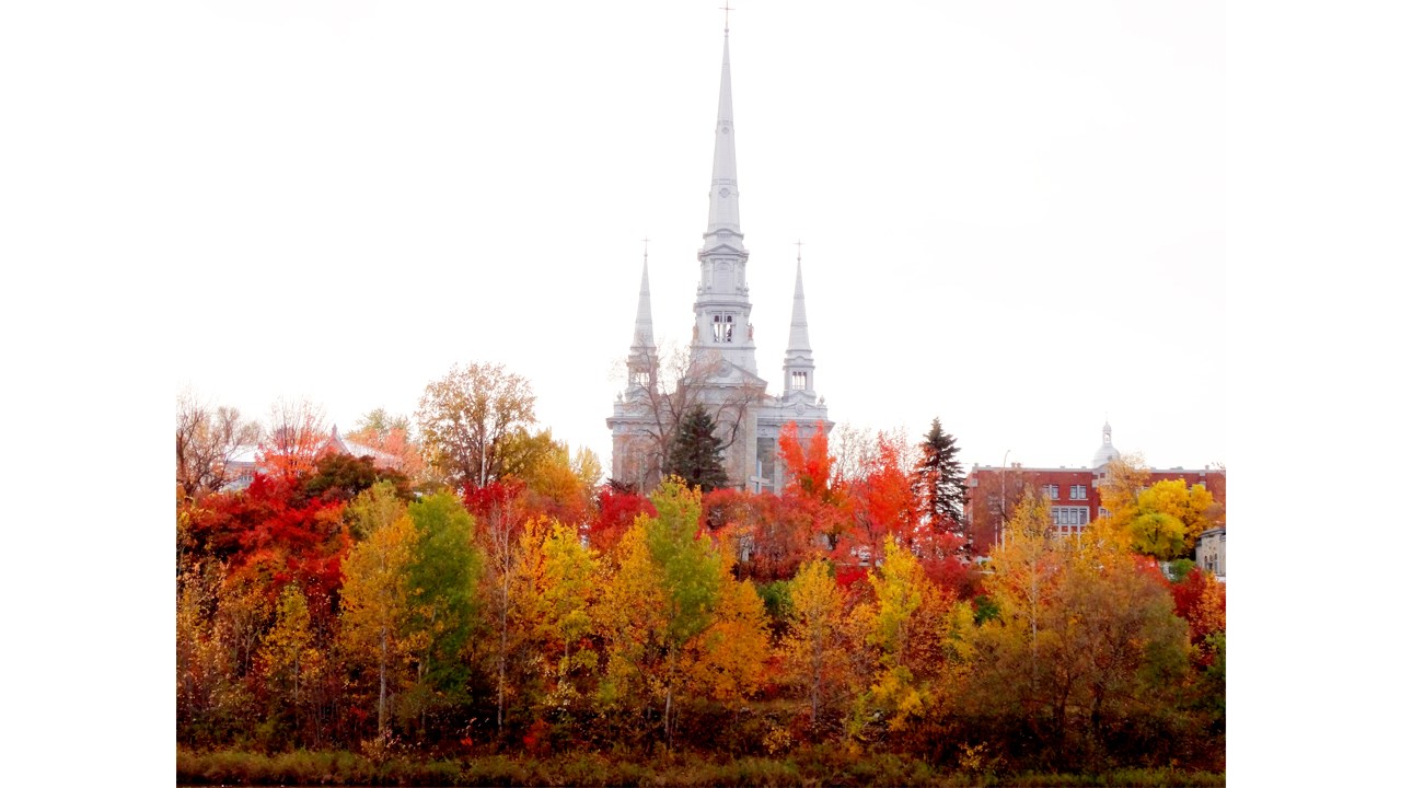 Replongez-vous dans les couleurs de l'automne grâce aux images de nos lecteurs