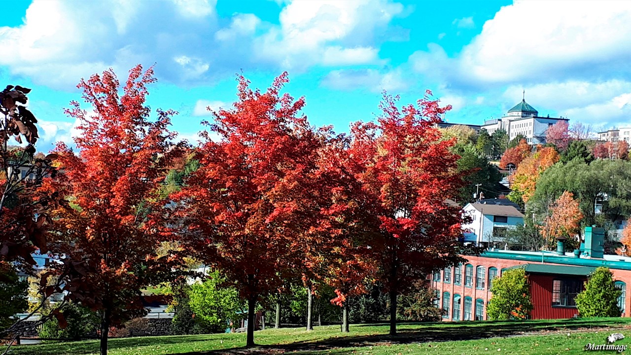 Replongez-vous dans les couleurs de l'automne grâce aux images de nos lecteurs