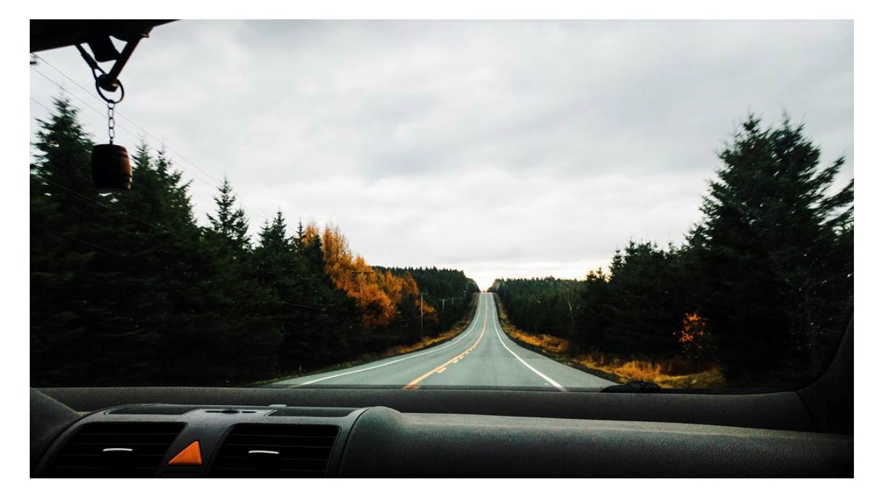 Replongez-vous dans les couleurs de l'automne grâce aux images de nos lecteurs