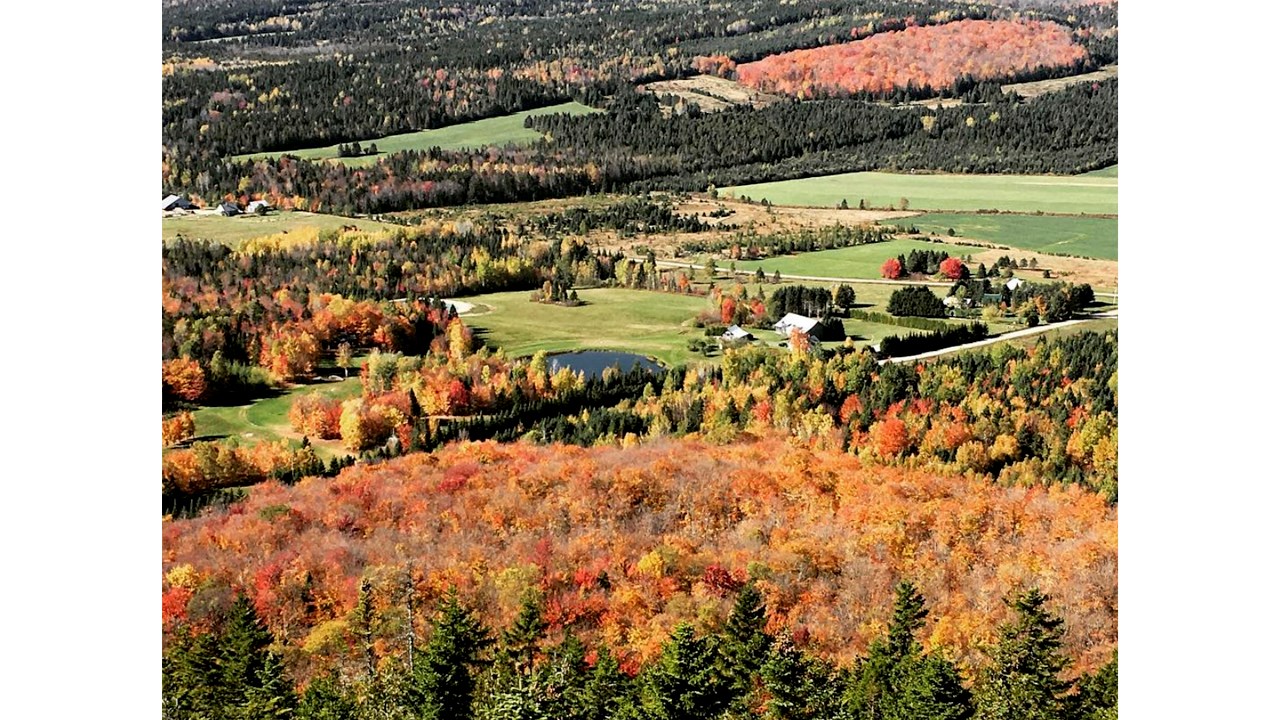 Replongez-vous dans les couleurs de l'automne grâce aux images de nos lecteurs
