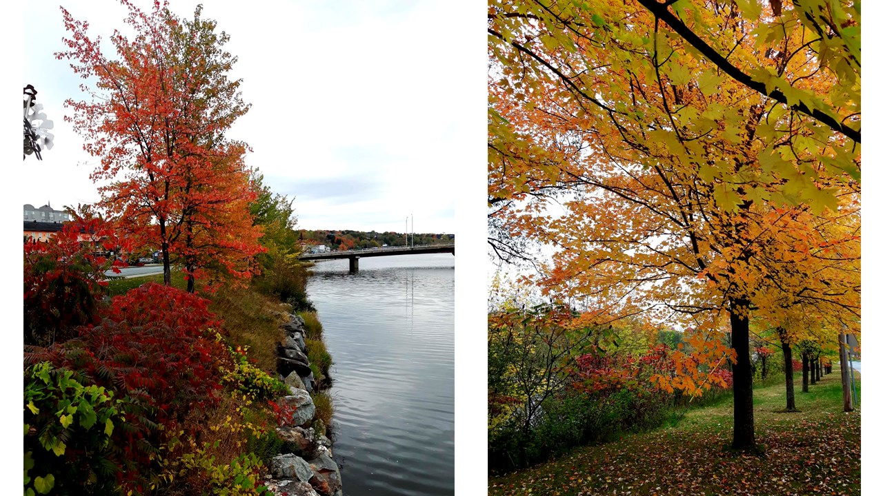 Replongez-vous dans les couleurs de l'automne grâce aux images de nos lecteurs