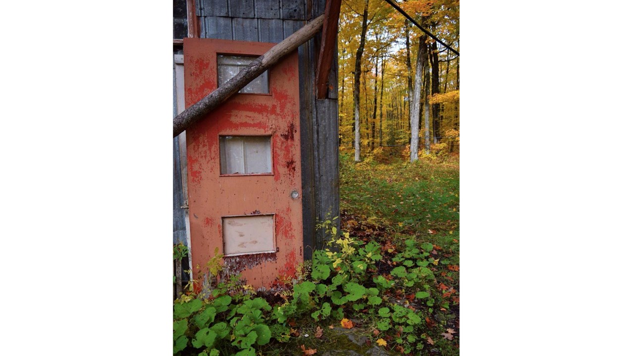 Replongez-vous dans les couleurs de l'automne grâce aux images de nos lecteurs