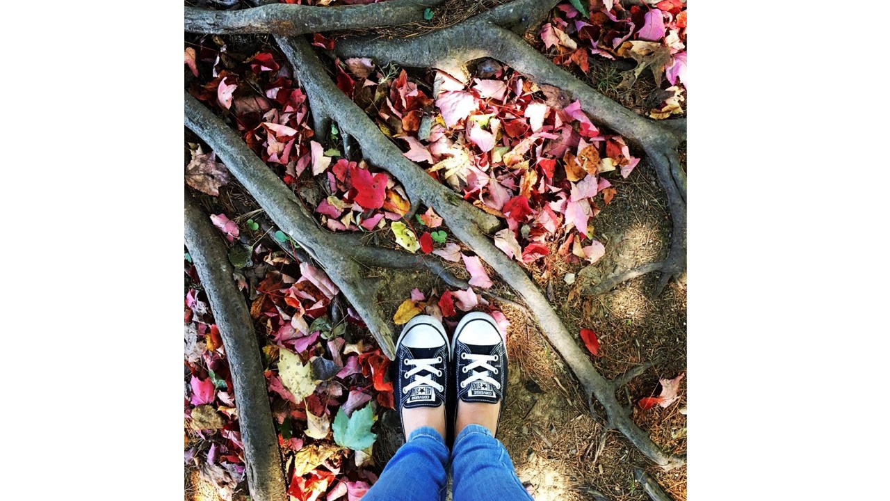 Replongez-vous dans les couleurs de l'automne grâce aux images de nos lecteurs